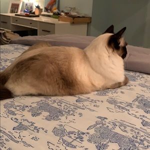 Meet your Posher, Meredith